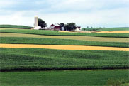 Tsosw-farm1 small.jpg